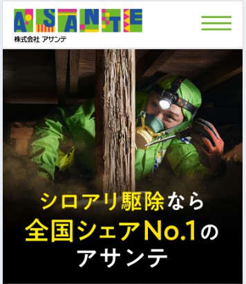アサンテシロアリ